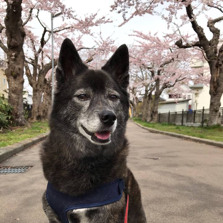 85e083e7 7e6c 4eda a487 edb1e8156af0 1588676634425