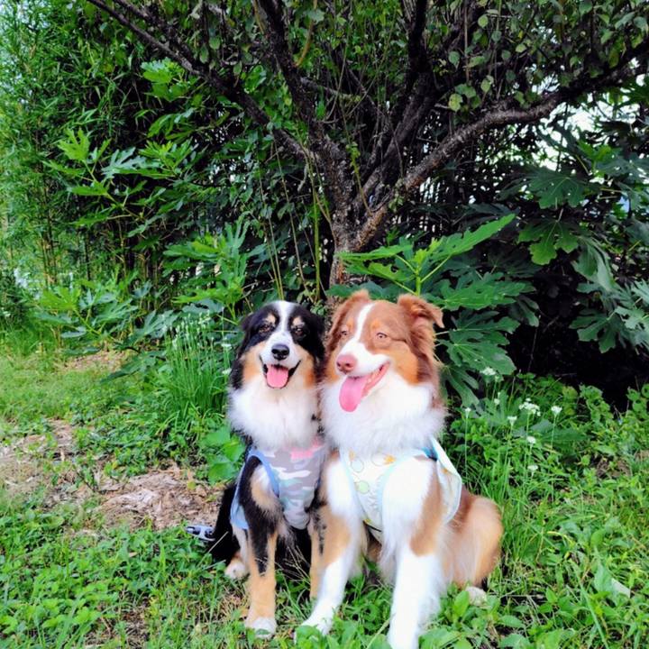 85e096ba dac9 4128 824b 8b96198b7c1d 1758107986128