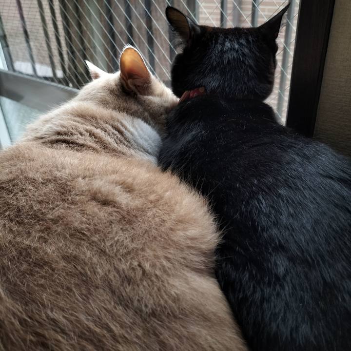 85e0e2fc 630a 43ea b009 ab89e1205658 1633041539253