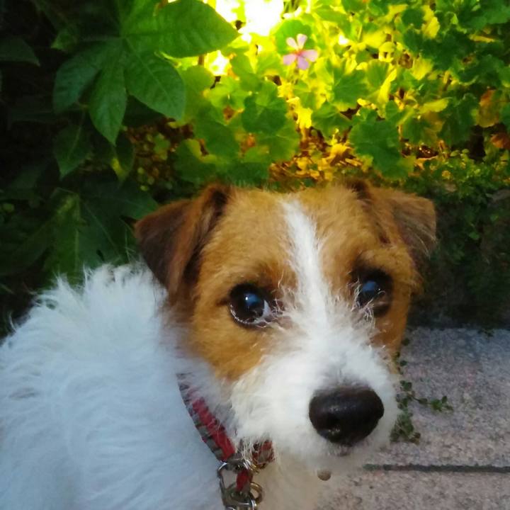 85e0e4f5 3191 4240 aa15 294388734971 1536743624411