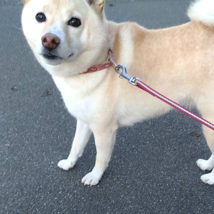 85e0fd37 a120 490f 8c03 2ad917d8f315 1603929173250