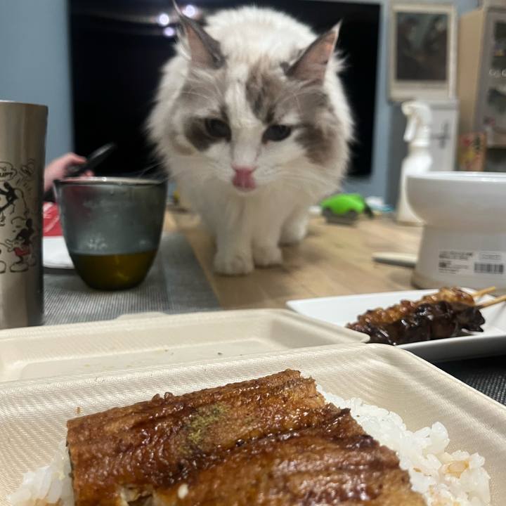 85e103e8 68b8 41bf 9681 3ad7ac2f5c28 1758807428826