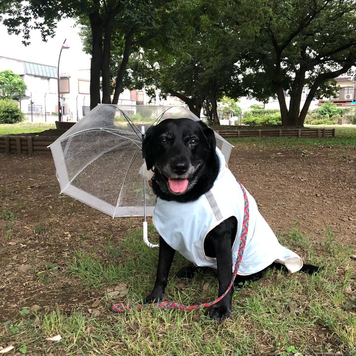 85e10f0e 8a98 4b07 91ea 22dc9ea6ed59 1567496921094