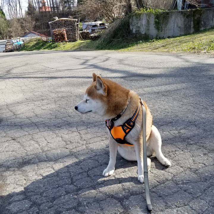 85e12fa8 e941 4a6d bd33 33506ba2bc9d 1617257262337