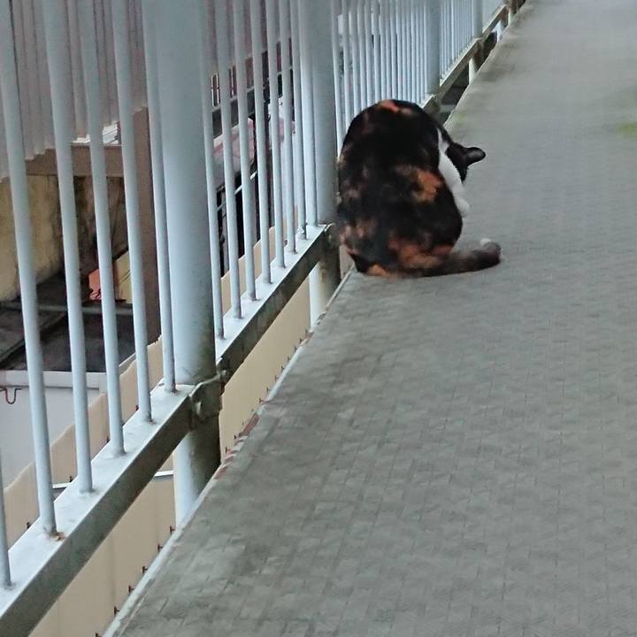 85e13861 8832 4deb aa7d 2f7ad7414d98 1669421828131