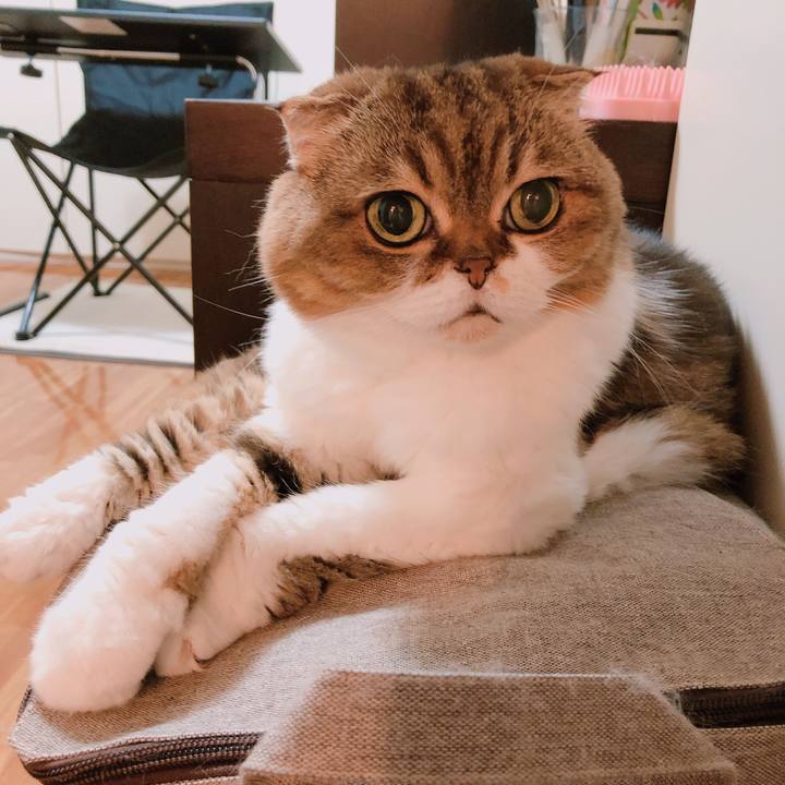 85e14bdb 2849 475d b73e 633a9b0589cd 1562124229884