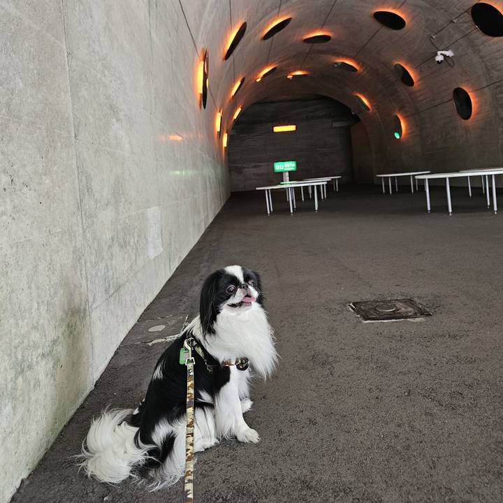 85e184c4 0785 4a91 80d9 6e2b7e1dbcdc 1716366459576