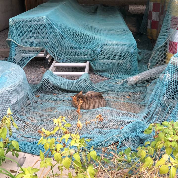 85e1b9e4 b108 48ce 8712 fca2adde7bb6 1580741651689