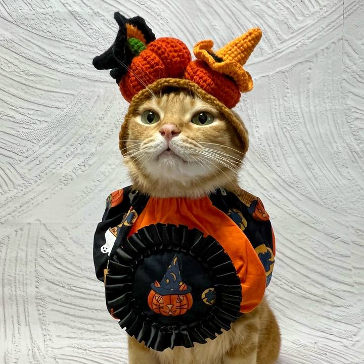 85e1ded3 6039 4b59 b88c 507e860d5632 1730065710715