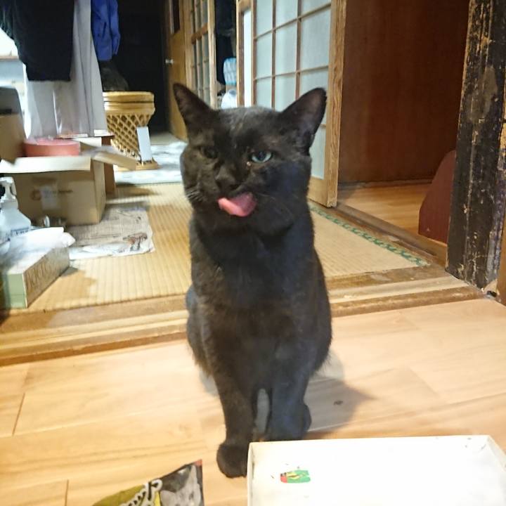 85e1e31b ae5a 44c5 85d1 8fe8a9f8267b 1627911122764