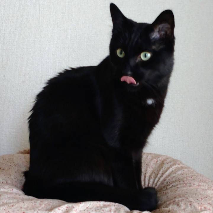 85e1e393 85e3 430e 892e efd0337b9f34 1682844967185