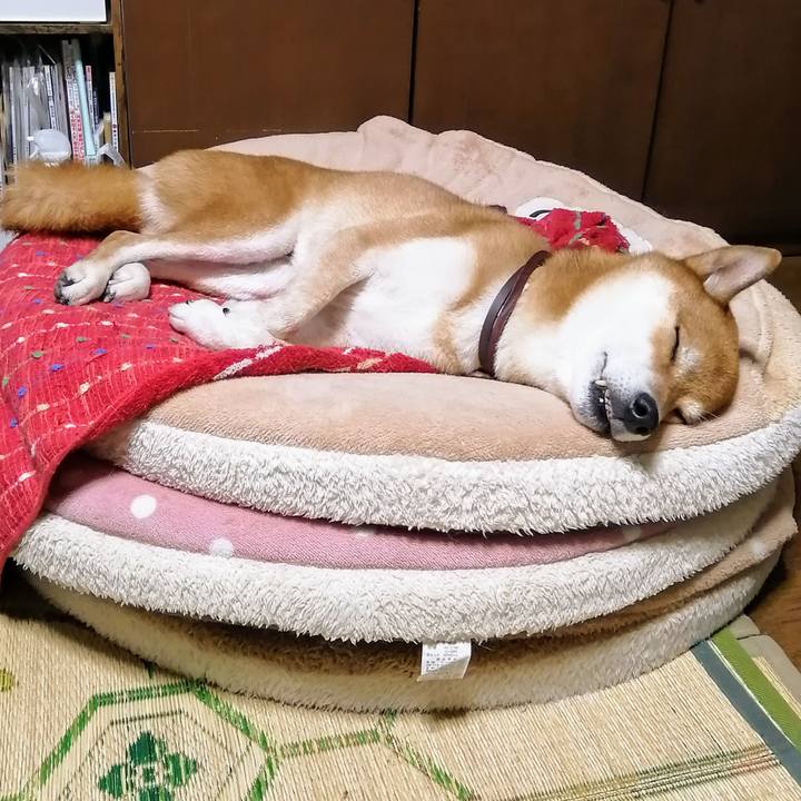 85e22b90 a961 4f26 9021 5f592becd7a6 1630073548094