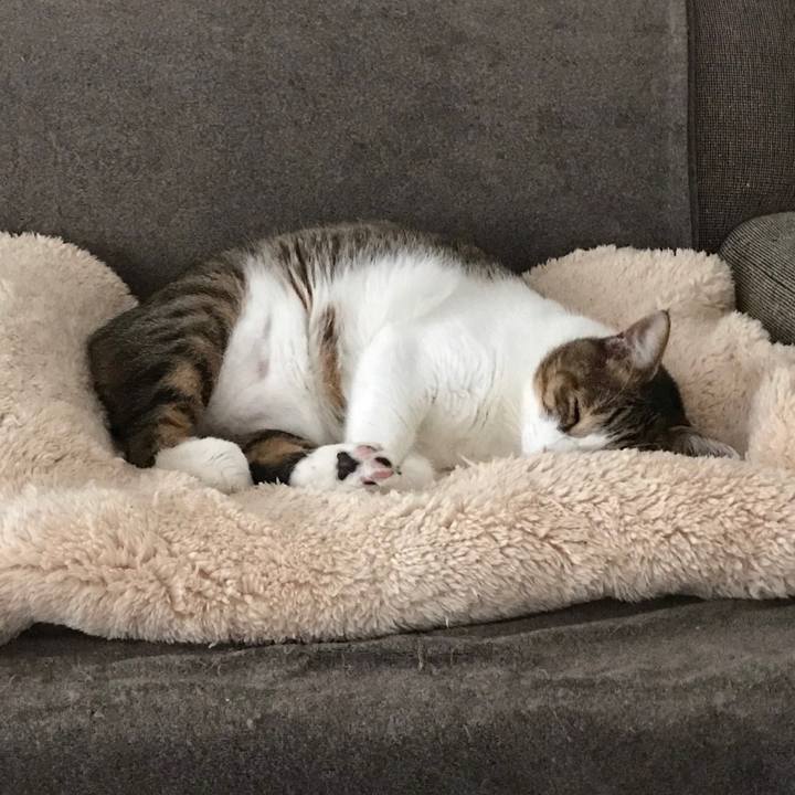 85e22bd1 dd64 40ad b39a 1c3ed70088ea 1602900748952