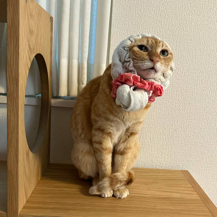 85e24c39 eb00 424a 85ec 9fb196d17b96 1771479560337