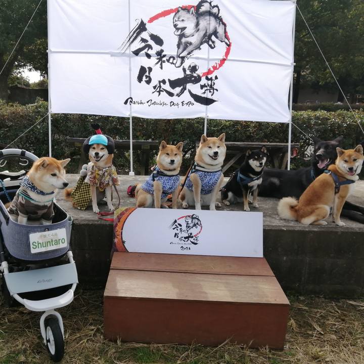 85e25786 12a8 4f2f a244 2c6fad4902be 1636293737273