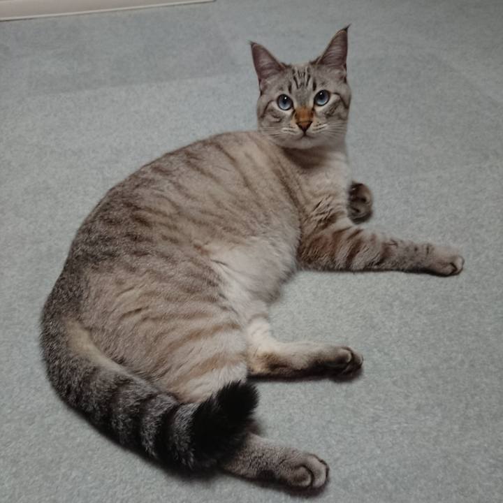 85e25a27 af2b 4521 b02f 2dc414f01a97 1536672682239