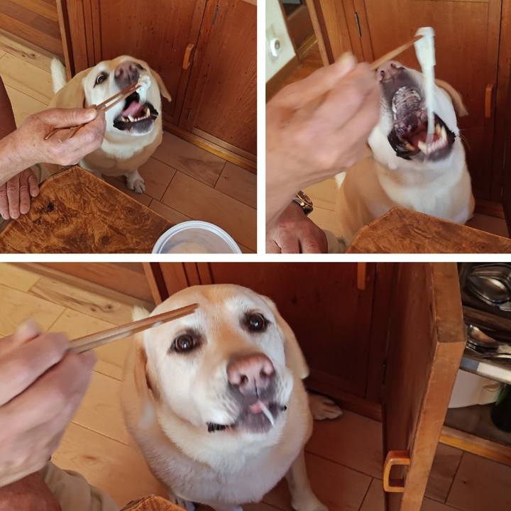 85e2aa60 86ec 4bc0 98f1 75c8f815ba2a 1727846866277