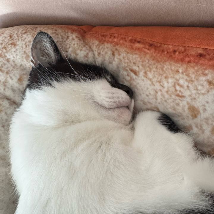 85e2b47a 5063 4d0e bced b6c7fc482916 1763113855890