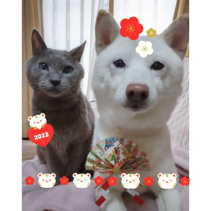 85e30f15 cef8 49fa a6bc 54c6d000282d 1640992417226