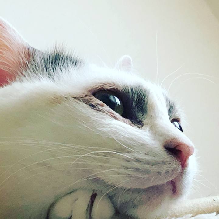 85e32daa b889 4056 926c 5a704b8b1194 1573108489503