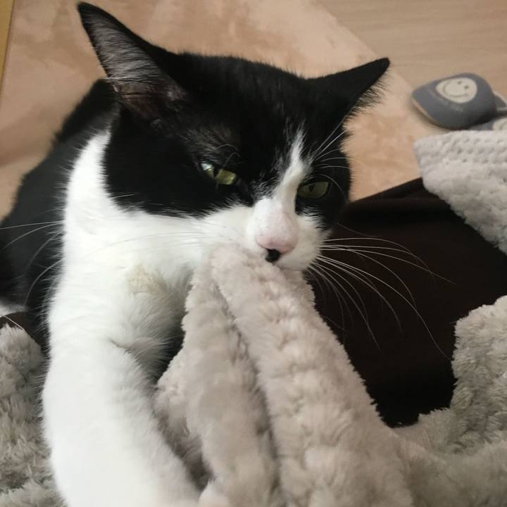 85e37051 96f0 4b19 9a66 f96ac3b7431b 1539262296215