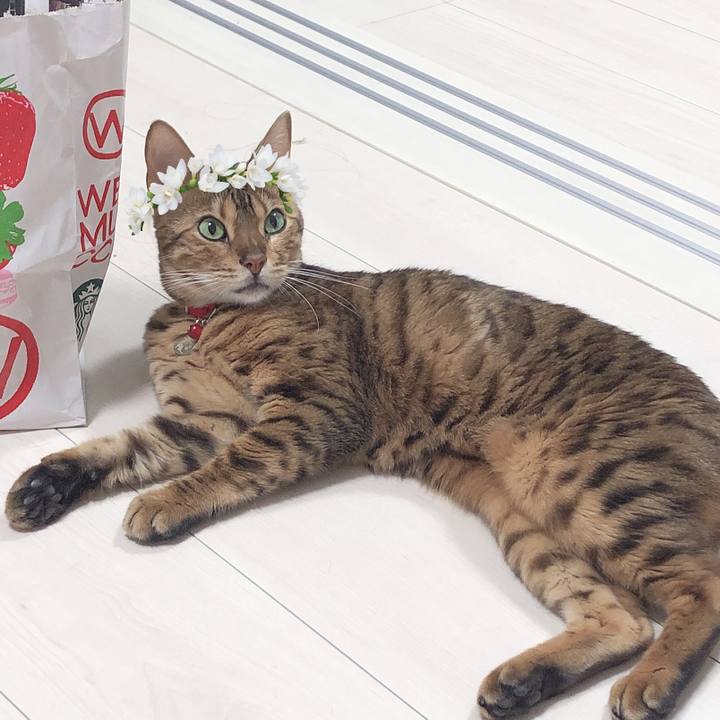 85e377f3 92bc 409b b234 edcdf2e3ef7c 1562157195933