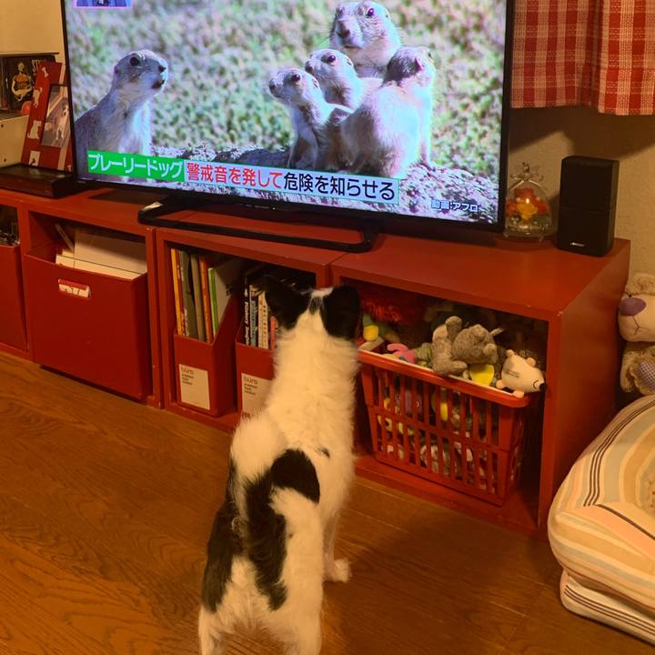 85e37a67 091c 42be 8729 12091f35ced5 1595673077860