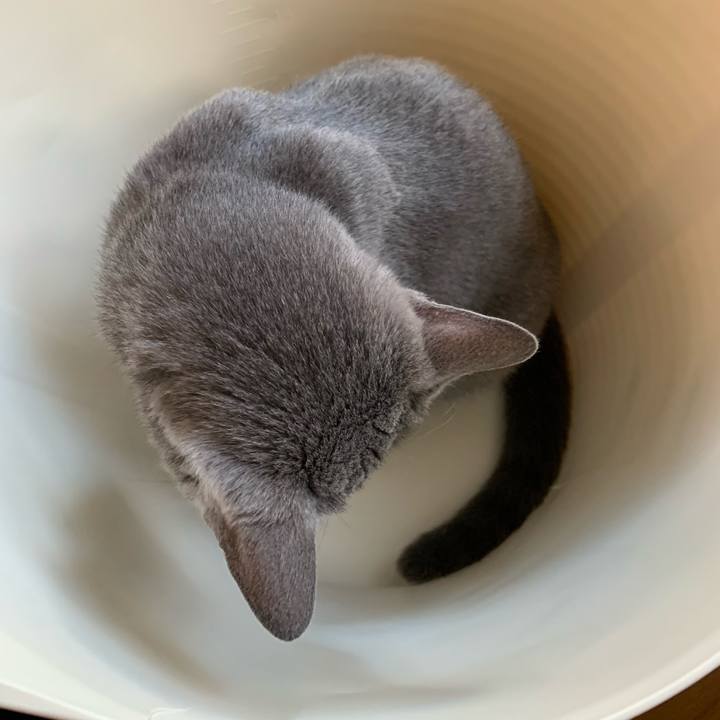 85e38a80 34a8 408b b95c 2ae3e3df69f2 1598504285752