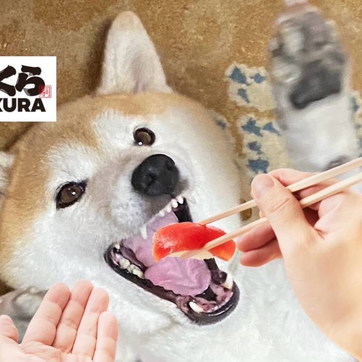 85e39db0 7045 4e17 bdd8 160c3c96c344 1728022288245