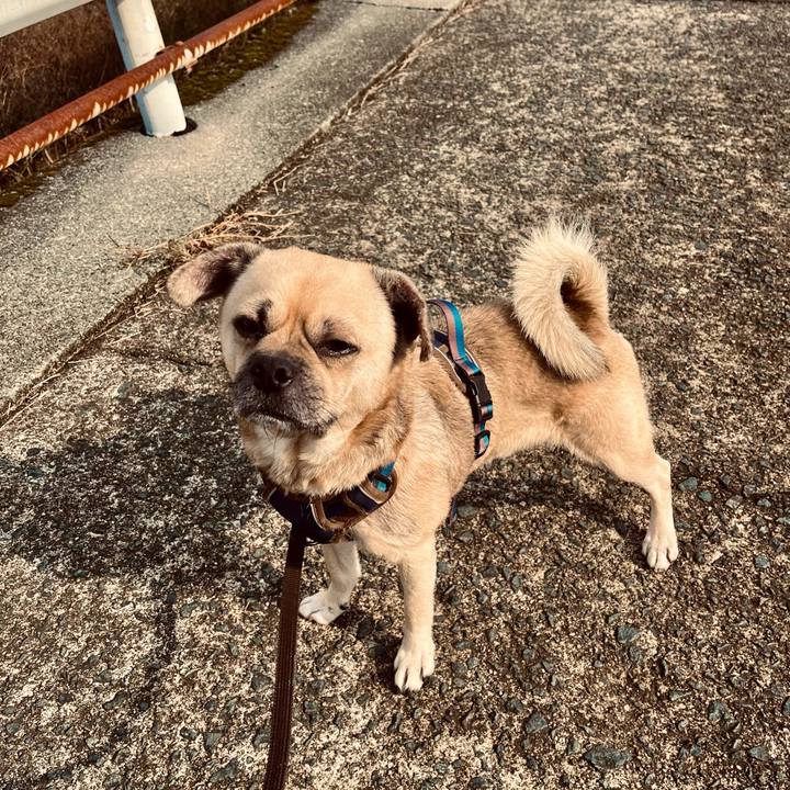 85e3a46d f57d 478e 82be 258fff89a3c3 1764060219662