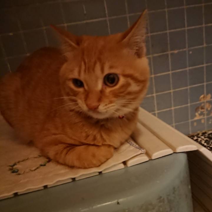 85e3cfc0 5442 4f30 8809 9f4f4d0efbb7 1635674809903