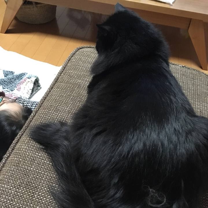 85e3d030 bac3 4d2d 9e5f 1c91f11a9fbc 1546266108556