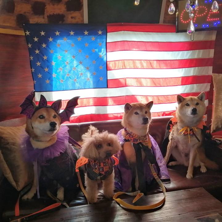 85e3fe25 dea2 47ab b739 af595cf443bc 1635598489986