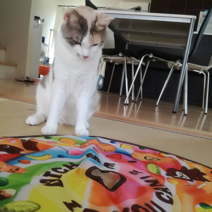 85e42f27 8935 46e5 8bd3 5ca422902b9b 1531880254403