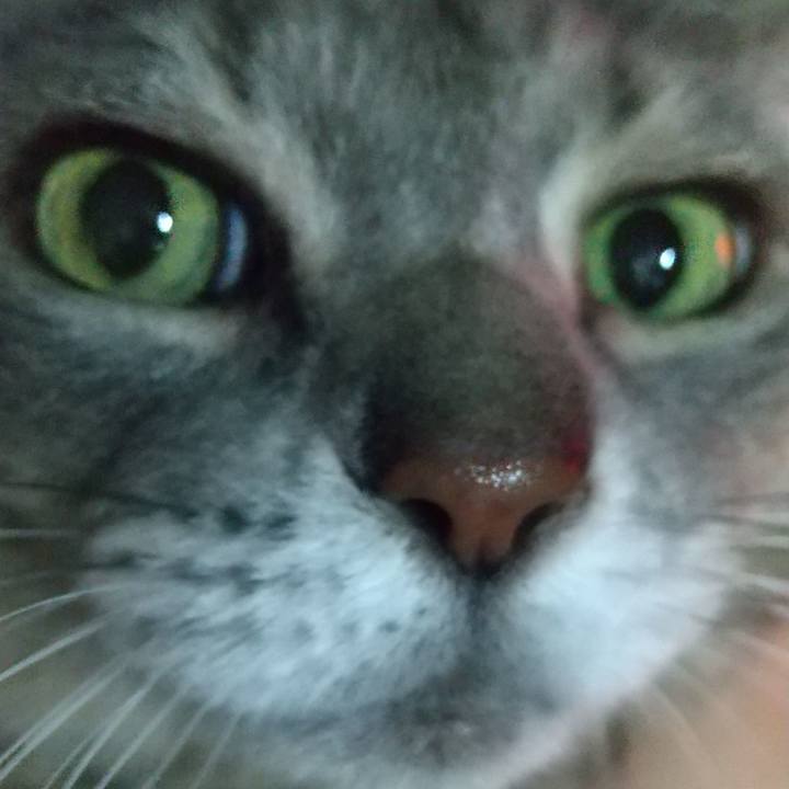 85e4305b 31b8 4576 9294 834660125035 1608806474362