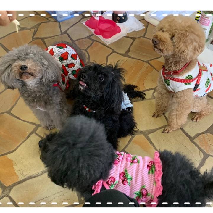 85e443cf 17a0 4aa1 8512 ca60b284d8a3 1558688313199