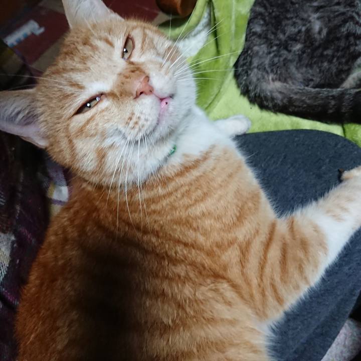 85e468d2 9e65 4cea 8c58 a66c2f8658ba 1582359403441