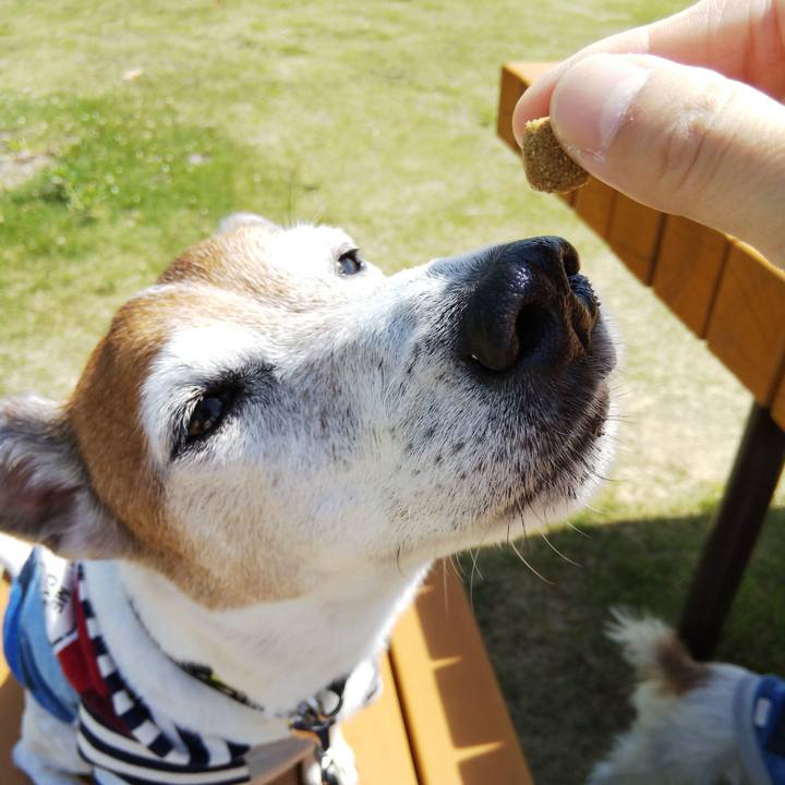 85e471d5 6ec8 409f aea6 82bbf770843d 1526165171773