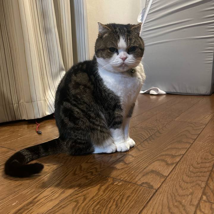 85e4f40b 3aec 4705 ac50 84e3d9a1ae77 1766645973966