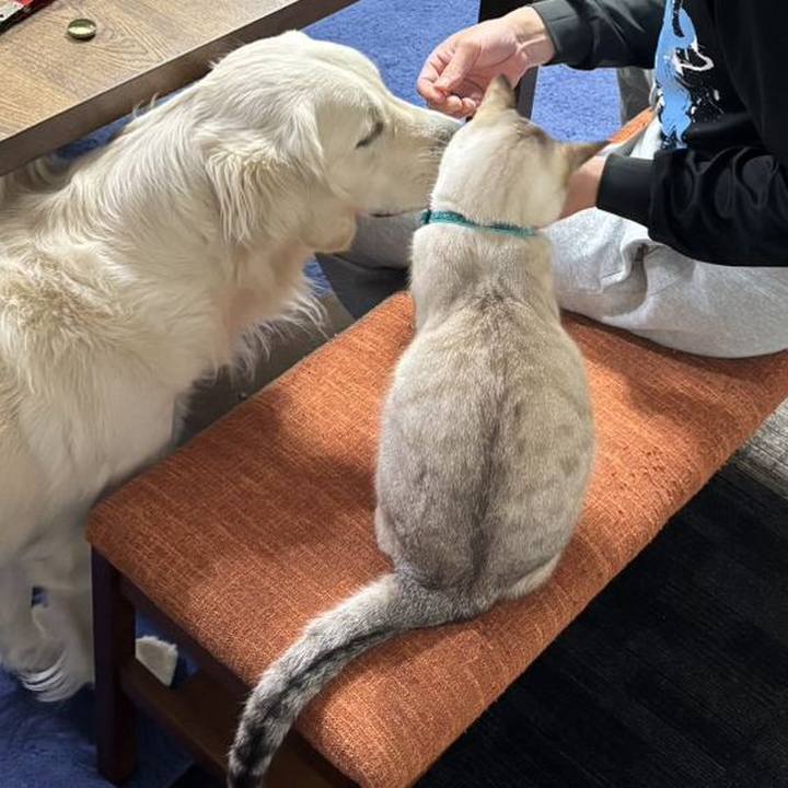 85e51aba 401f 4e45 95bf 96518d17935e 1767872768686