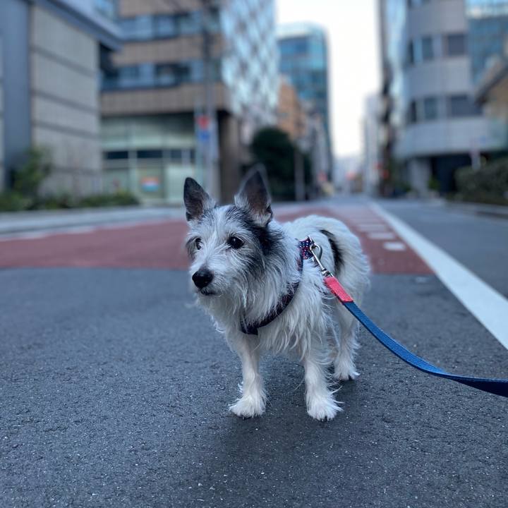 85e5287e 0618 44c6 91aa 335221396918 1615721925841