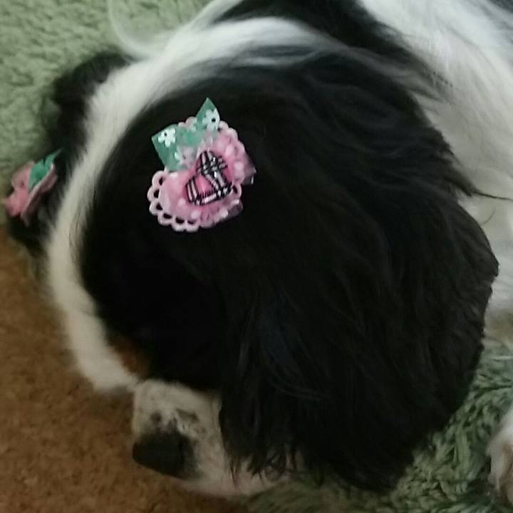 85e534b4 5a71 4aef 8a48 471efc92e3fb 1542514463119