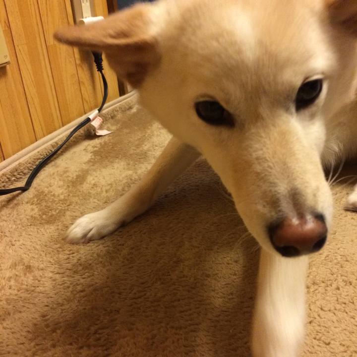 85e56ef8 680b 497f 860b 74480695794a 1557057508012