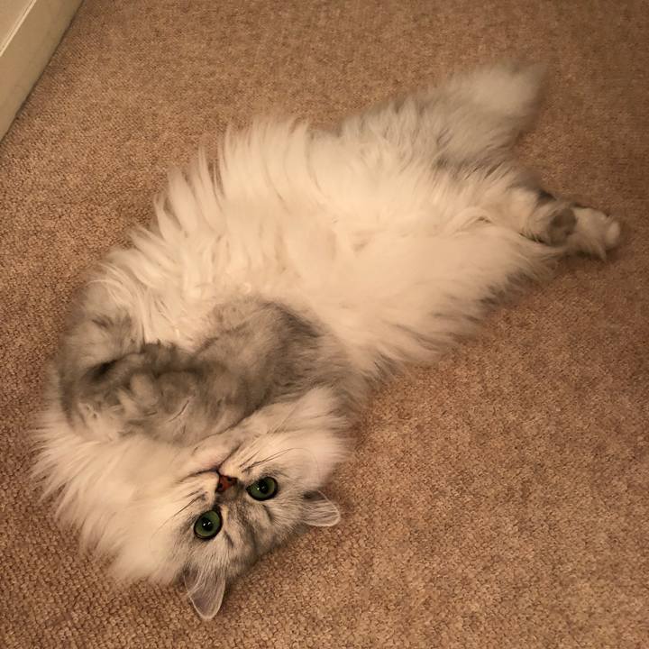 85e57529 d586 4581 b7ac 44d568493bfe 1542020383983