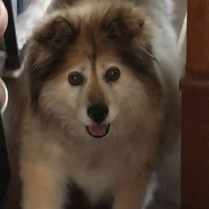 85e581f2 0cdb 4c41 a7c7 8171608f8fde 1561973273877