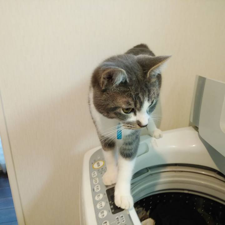 85e58558 c5ae 422c b4e0 af024dfdefe2 1575675230506