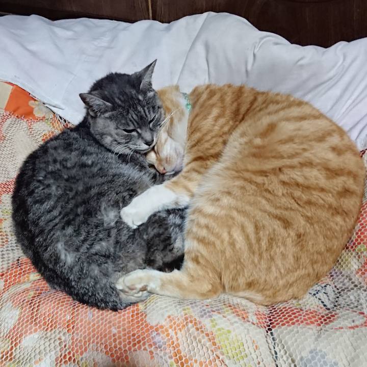 85e5987e 695f 4c80 98ae b4242c779ea2 1584792395023