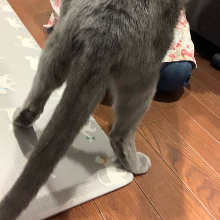 85e5a134 b99b 49d8 962e 00f22bd5f245 1646221759492