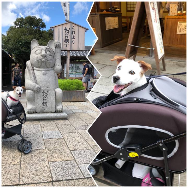 85e5dde9 f622 40e0 b77c 7d4b90024cac 1535963164377