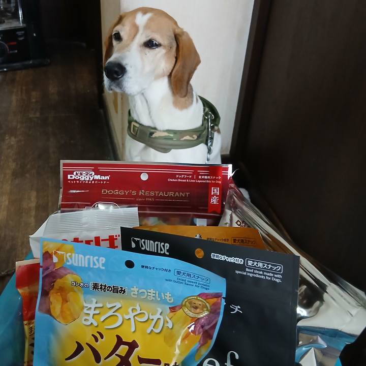 85e61663 4646 426b b441 719cd01154be 1770292849479